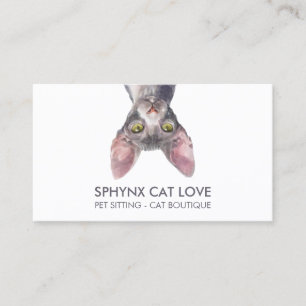 Carte De Visite Chat Sphynx Blanc Drôle