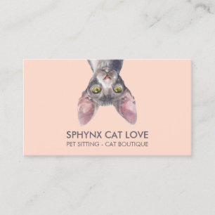 Carte De Visite Chat Sphynx Rose Orange