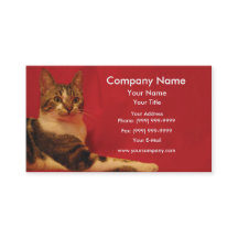 Chat sur l'arrière - plan rouge