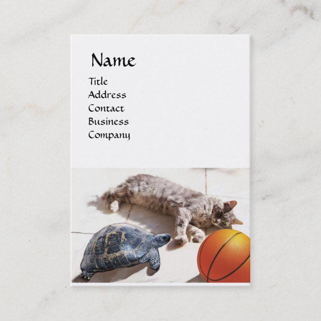 CARTE DE VISITE CHAT, TORTUE ET BASKETBALL (Devant)