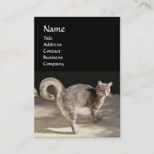 CARTE DE VISITE CHAT, TORTUE ET BASKETBALL