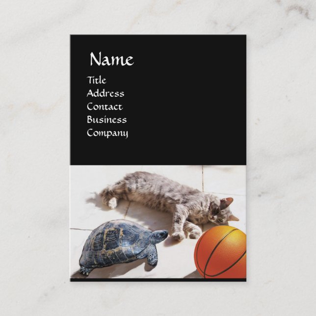 CARTE DE VISITE CHAT, TORTUE ET BASKETBALL (Devant)