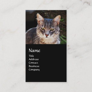 CARTE DE VISITE CHAT TURQUE MONOGRAMME