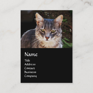 CARTE DE VISITE CHAT TURQUE MONOGRAMME