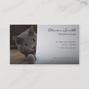 Carte de visite chat, vétérinaire