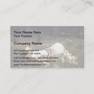 Carte De Visite Château d'eau Ophélie de John William