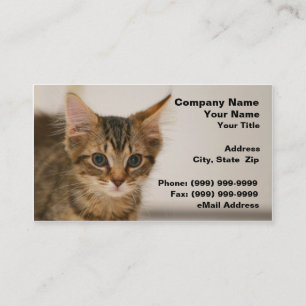 Carte De Visite Chaton mignon sur un fond blanc cassé