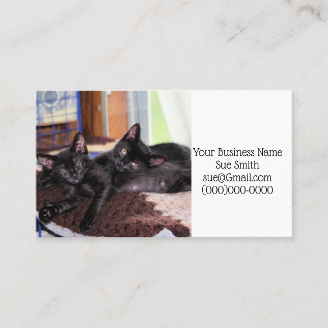 Carte De Visite Chatons (Devant)