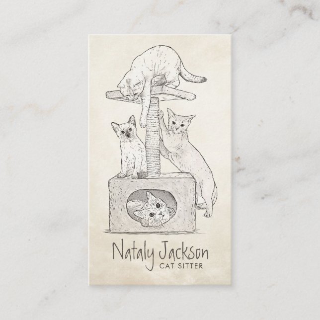 Carte De Visite Chats sur le dessin du post-rayonnage (Devant)