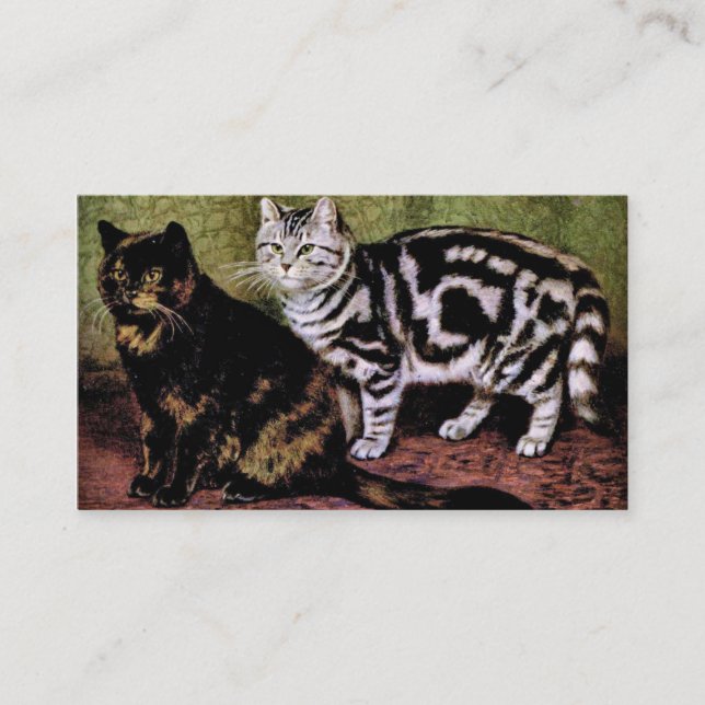 Carte De Visite Chats tigrés d'écaille et d'argent (Devant)