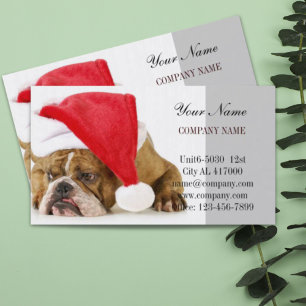 Carte De Visite Chatte chien chat animal sitter animal toiletteur