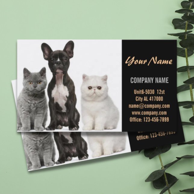 Carte De Visite Chatte chien chat animal sitter animal toiletteur (Cute dog cat pet sitter animal sitter pet groomer business card)