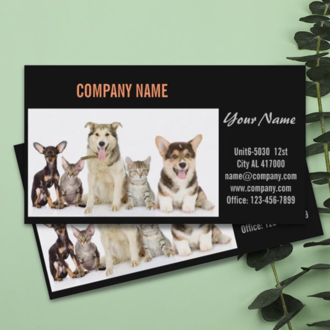Carte De Visite Chatte chien chat animal sitter animal toiletteur (Cute dog cat pet sitter animal sitter pet groomer business card)