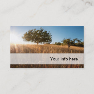 Carte De Visite Chêne dans le pré d'or ensoleillé