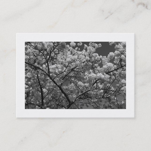 Carte De Visite Cherry Blossom B&W (Bordé) (Devant)