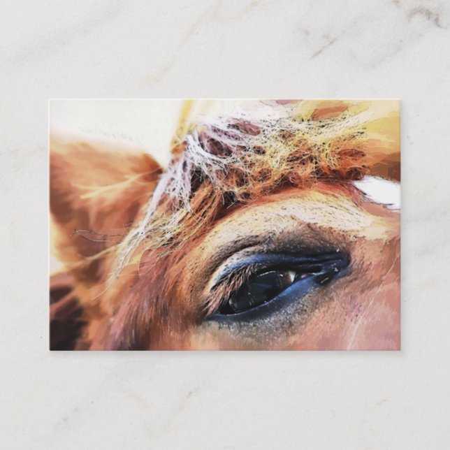 CARTE DE VISITE CHEVAL (Devant)