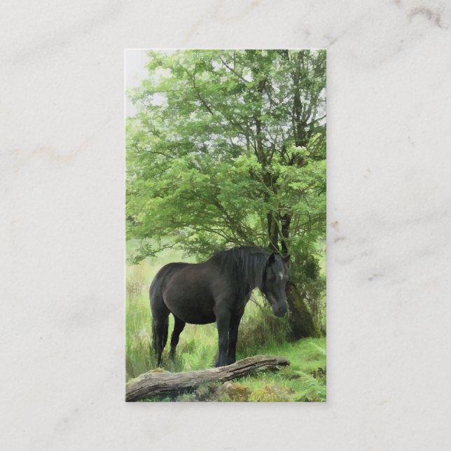 CARTE DE VISITE CHEVAL (Devant)