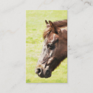 CARTE DE VISITE CHEVAL
