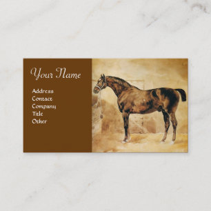 CARTE DE VISITE CHEVAL ANGLAIS EN CHEVAL STABLE