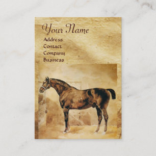 CARTE DE VISITE CHEVAL ANGLAIS EN CHEVAL STABLE