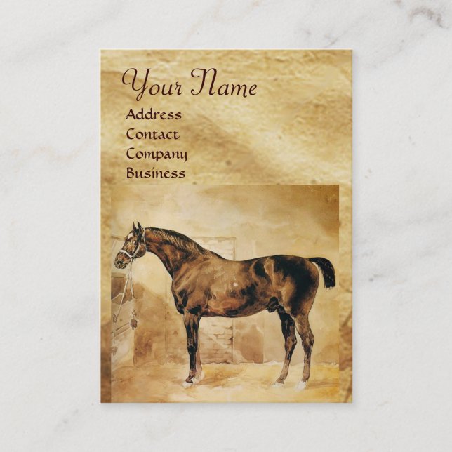 CARTE DE VISITE CHEVAL ANGLAIS EN CHEVAL STABLE (Devant)
