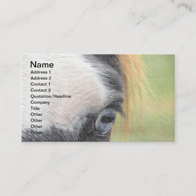 Carte De Visite Cheval bleu (Devant)