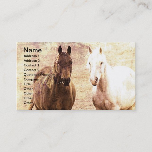Carte De Visite Cheval Buddy (Devant)