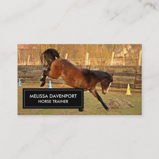 Carte De Visite Cheval de Bucking Brown photo Joueur et sauvage (Devant)