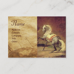 CARTE DE VISITE CHEVAL DE CHEVAL GRAY REMPLI