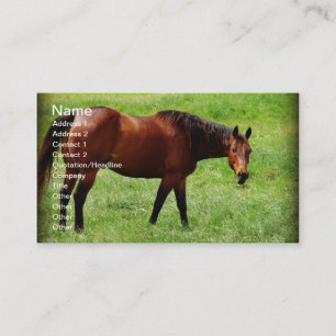 Carte De Visite Cheval de la baie