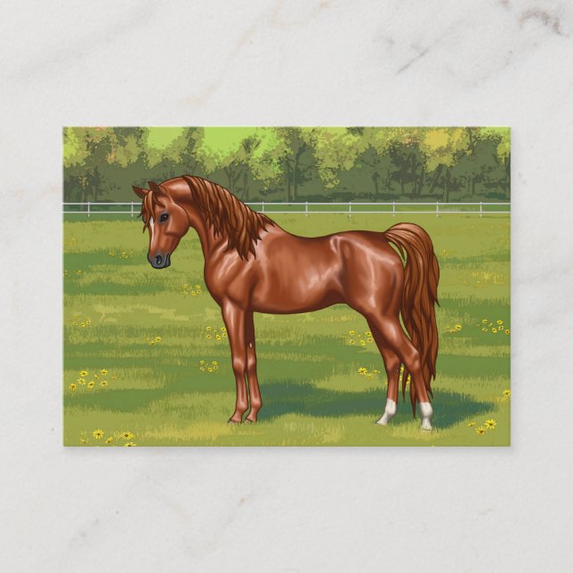 Carte De Visite Cheval égyptien arabe châtaigner dans le pâturage  (Devant)