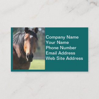 Carte De Visite Cheval : Grand plan rapproché Brown de cheval de