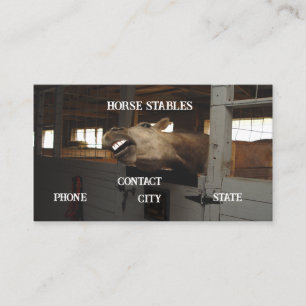 Carte De Visite cheval grange stable dents animales