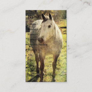 Carte De Visite Cheval gris
