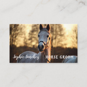 Carte De Visite Cheval Groom Photo Professionnel