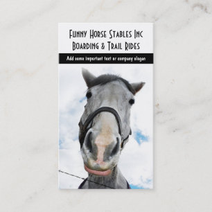 Carte De Visite Cheval heureux ! Sourire drôle chevalin