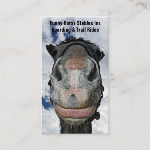 Carte De Visite Cheval heureux ! Sourires fouineurs drôles de