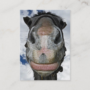 Carte De Visite Cheval heureux ! Sourires fouineurs drôles de