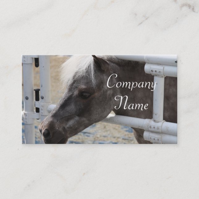 Carte De Visite Cheval miniature (Devant)