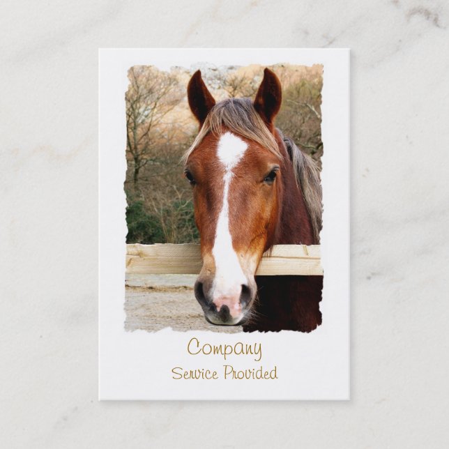 CARTE DE VISITE CHEVAUX (Devant)