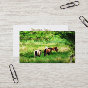 CARTE DE VISITE CHEVAUX