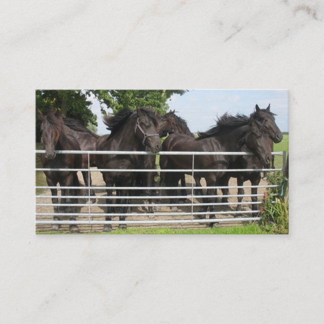 Carte De Visite Chevaux à la barrière (Devant)