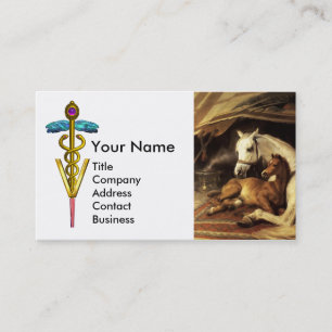 CARTE DE VISITE CHEVAUX, AUTRES ANIMAUX, SYMBOLE VÉTÉRINAIRE CADUC