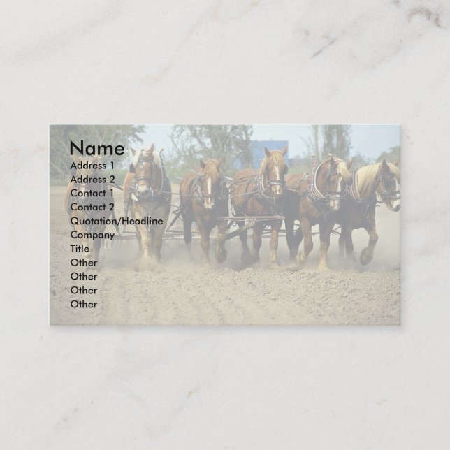 Carte De Visite Chevaux belges labourant, six-up, ferme (Devant)