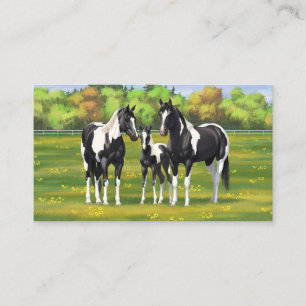 Carte De Visite Chevaux De Peinture De Pinto Noir En Pâturage Été