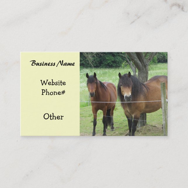Carte De Visite Chevaux en campagne (Devant)