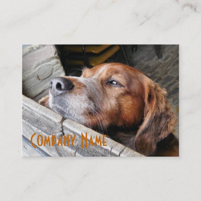 CARTE DE VISITE CHIEN (Devant)