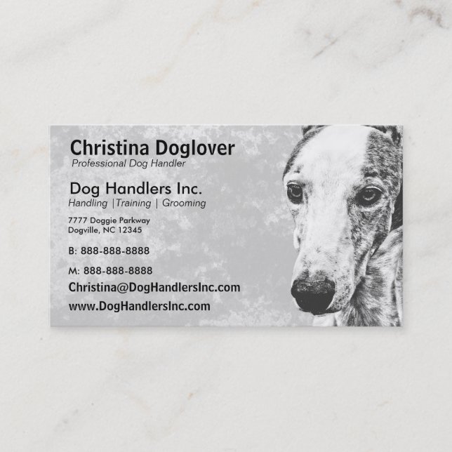 Carte De Visite Chien adorable de whippet (Devant)