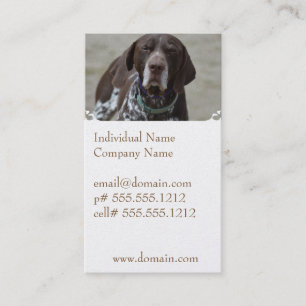 Carte De Visite Chien allemand d'indicateur aux cheveux courts