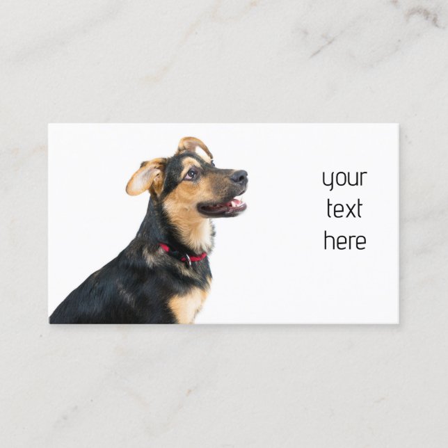 Carte De Visite Chien amusant chiot (Devant)